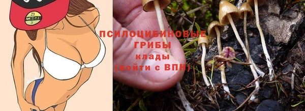 гашиш Белокуриха