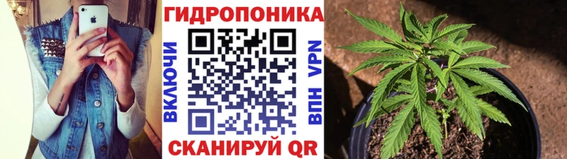 Канабис конопля  blacksprut   Тотьма 